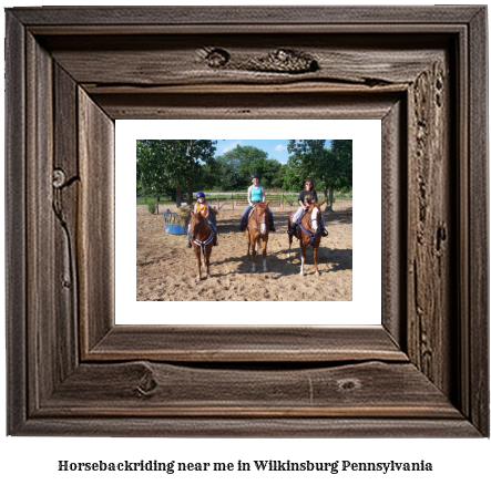 horseback riding near me in Wilkinsburg, Pennsylvania